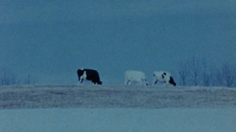 кадр из фильма Horizons