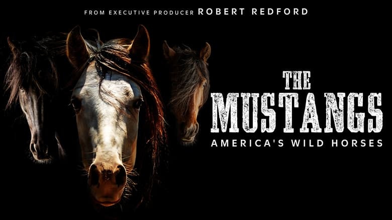 кадр из фильма The Mustangs: America's Wild Horses