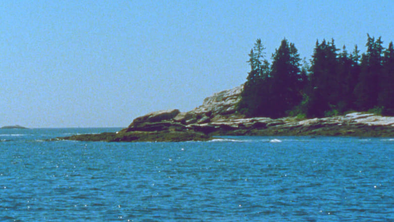кадр из фильма The Seashore