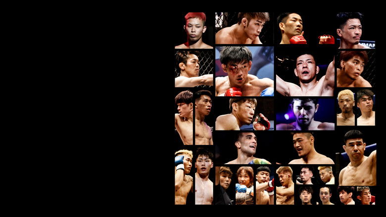 кадр из фильма PANCRASE 355