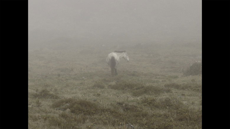 кадр из фильма Laguna negra