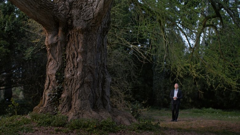 кадр из фильма Тихий друг