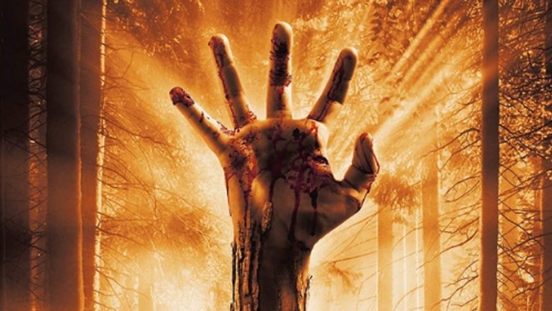 кадр из фильма Пробуждающий лес