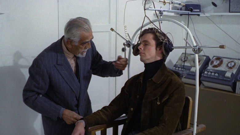 кадр из фильма Волшебники