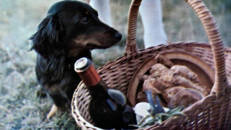 кадр из фильма Da lacht Tirol