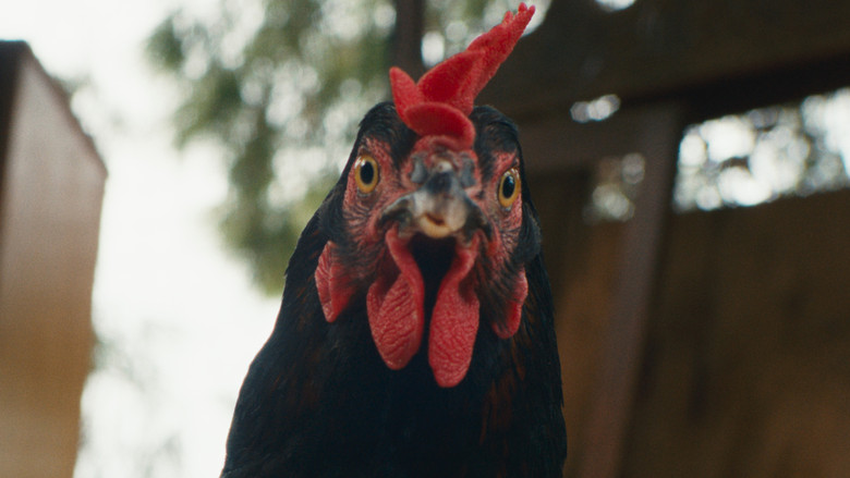 кадр из фильма Κότα