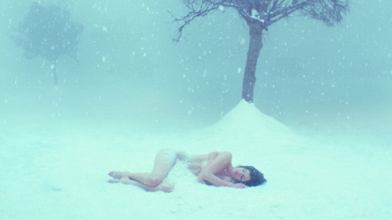 кадр из фильма Белая птица в метели