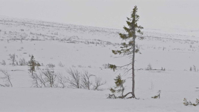 кадр из фильма Un arbre és un arbre