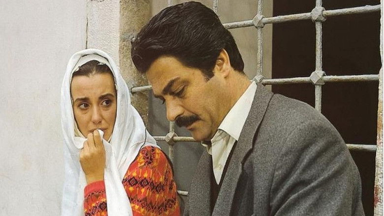 кадр из фильма Karılar Koğuşu