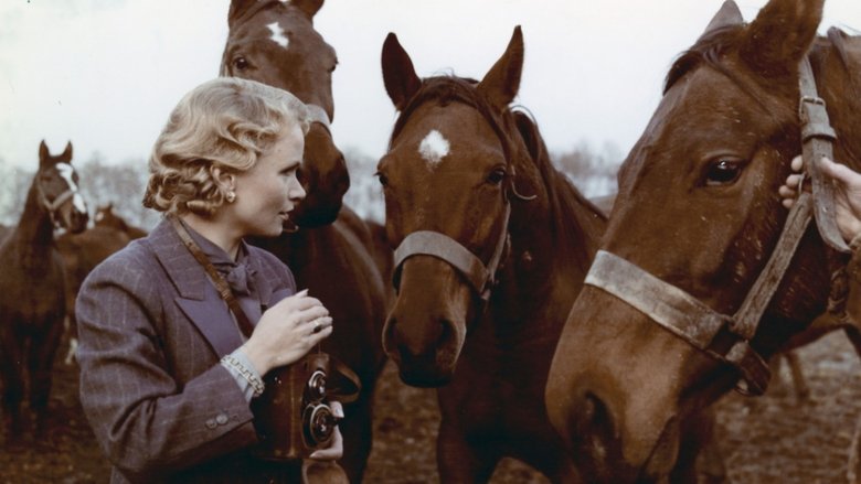 кадр из фильма Wherever You Are...