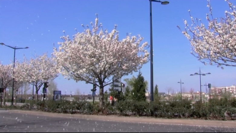 кадр из фильма L’ENTRE DEUX TOURS