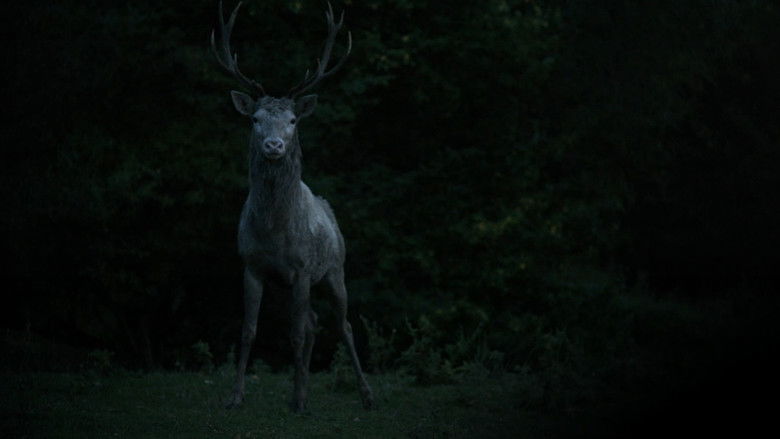 кадр из фильма Some Things Have To Be Said - Halfway (3/3)