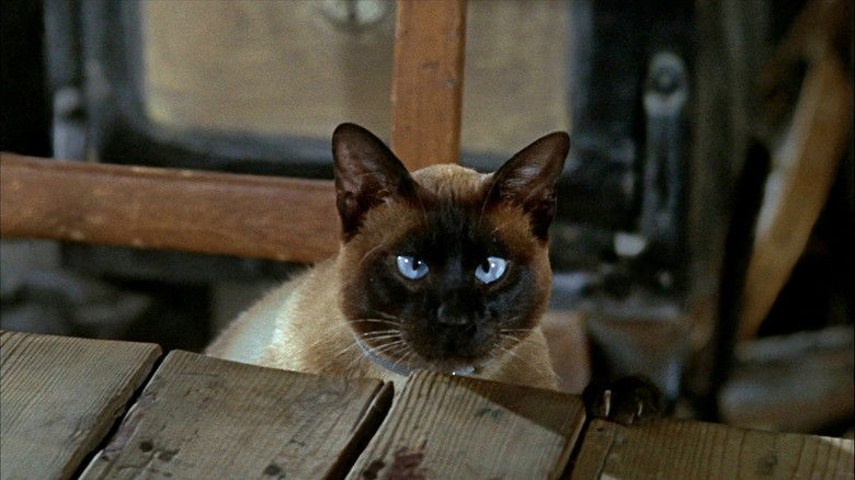 кадр из фильма Невероятное путешествие