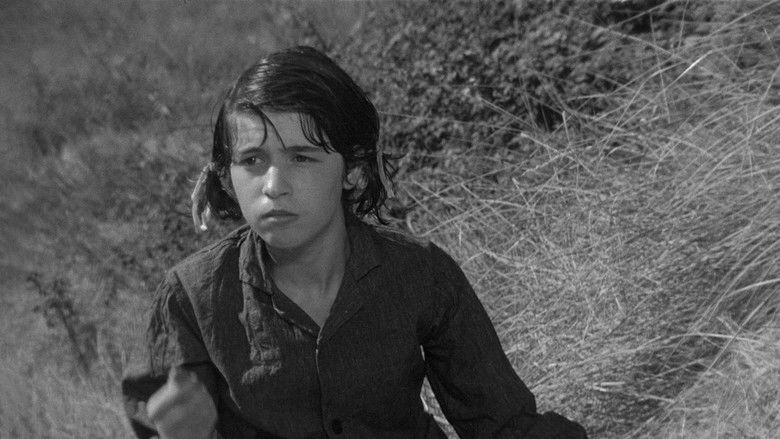 кадр из фильма Мушетт