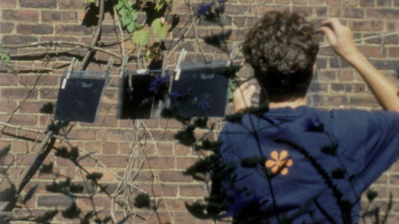 кадр из фильма The Odds of Recovery