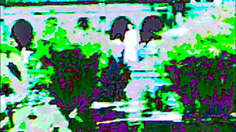 кадр из фильма In The World You Will Have Tribulation, But Take Heart; I Have Overcome The World (Short)