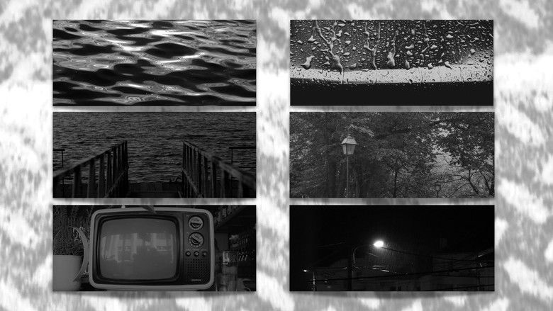 кадр из фильма Ensaio sobre a Imutação