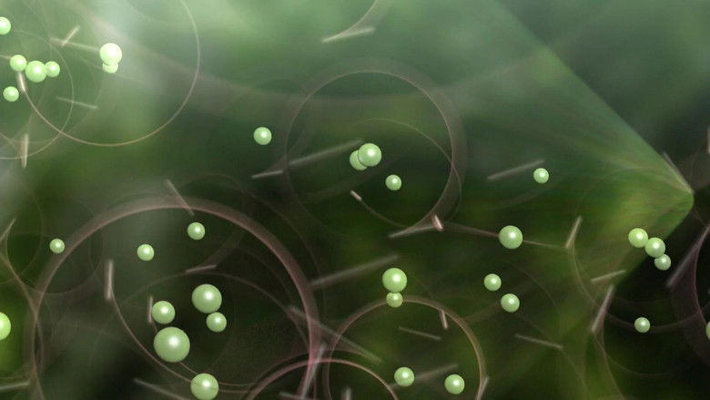 кадр из фильма Nature Fights Back In Chernobyl