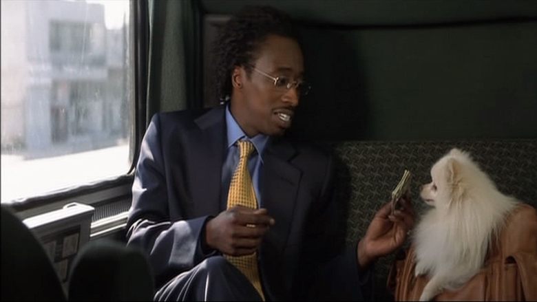 Двойные неприятности