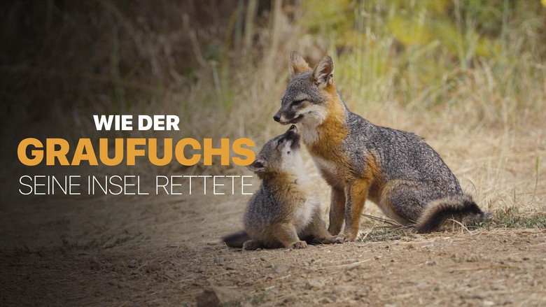 кадр из фильма Le renard qui a sauvé son île