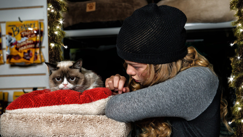 кадр из фильма Худшее Рождество сердитой кошки