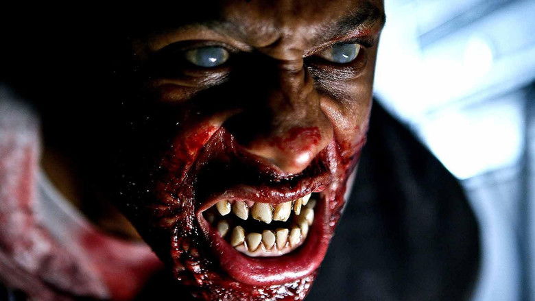 кадр из фильма Стая