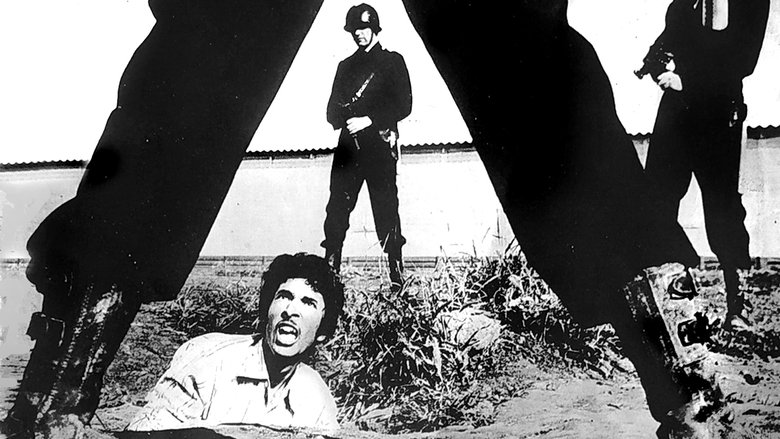 кадр из фильма La Voie