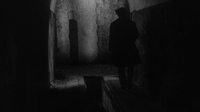 кадр из фильма Рождённый убивать