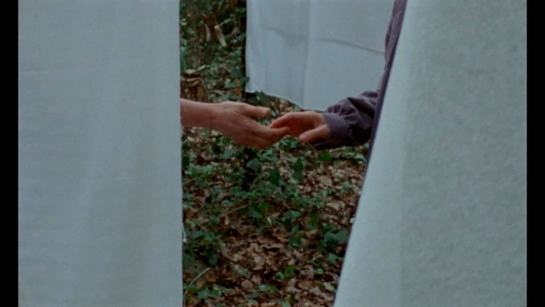 кадр из фильма Si pogués sostenir-me com ho fan els arbres