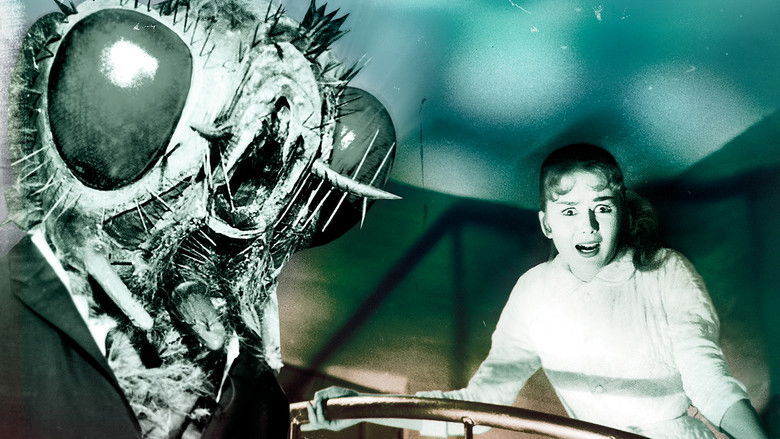 кадр из фильма Возвращение мухи