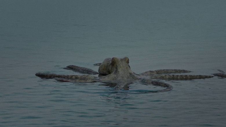 кадр из фильма All You Can Eat Buddha