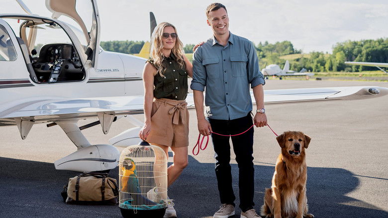 кадр из фильма Давай улетим вместе