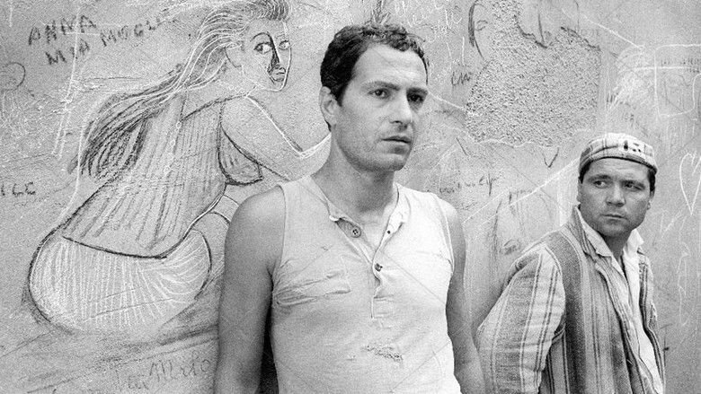 кадр из фильма Верхом на тигре