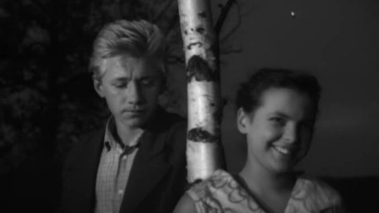 кадр из фильма Прошлым Летом