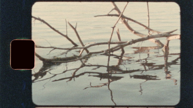 кадр из фильма Dans les pins