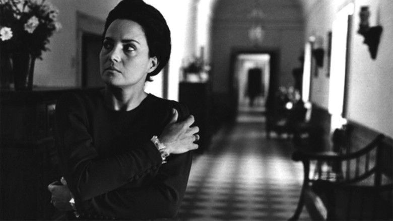 кадр из фильма Uma Abelha na Chuva