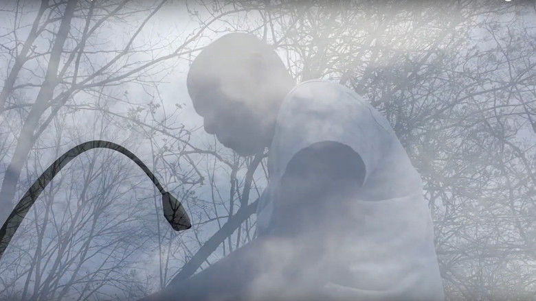 кадр из фильма A Rainbow In the Sky