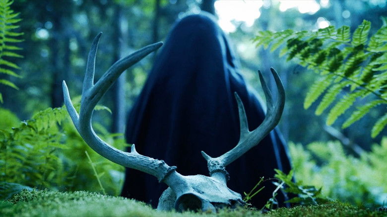 кадр из фильма Мать мух