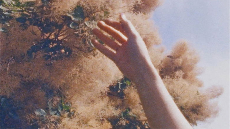 кадр из фильма Jan Bart