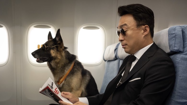 кадр из фильма Спасти панду