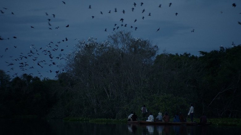 кадр из фильма Luz nos Trópicos