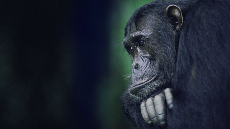 кадр из фильма Kingdom of the Apes: Battle Lines