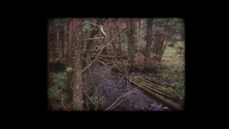 кадр из фильма Remembrance of a Summer from an Etobicoke Hotel