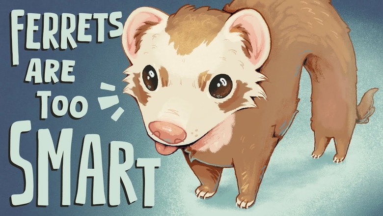 кадр из фильма Ferrets Are (a Little Too) Smart