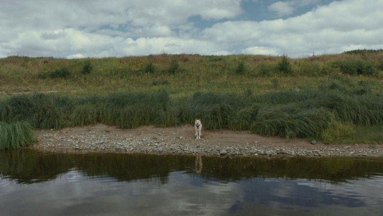 кадр из фильма Ладно Хорошо, Пинега