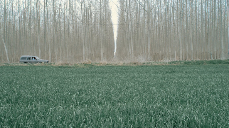 кадр из фильма Symmetropia