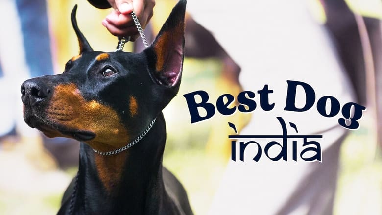 кадр из фильма Best Dog India