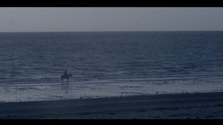 кадр из фильма Сцены у моря