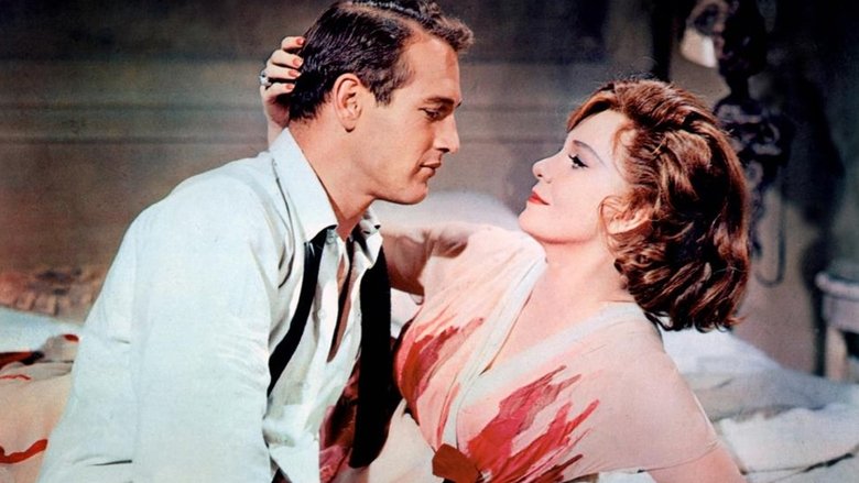 кадр из фильма Сладкоголосая птица юности