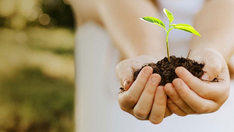 кадр из фильма Поцелуй Землю